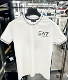 EA7 T-SHIRT 2024 A
